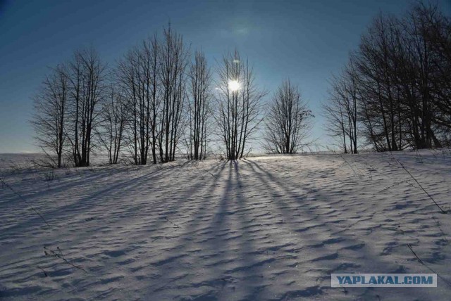Зимняя красота