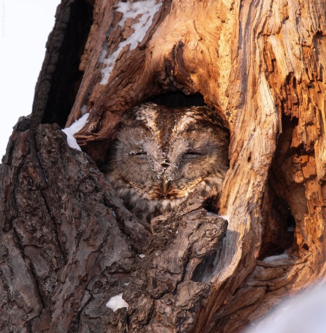 Жилищный беспредел в Питере