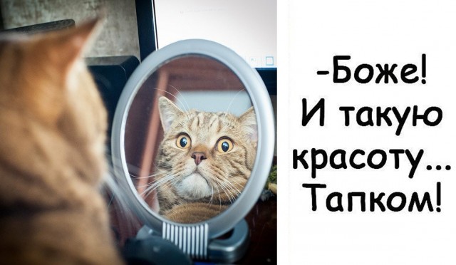 Так себе картинки 15.05.24