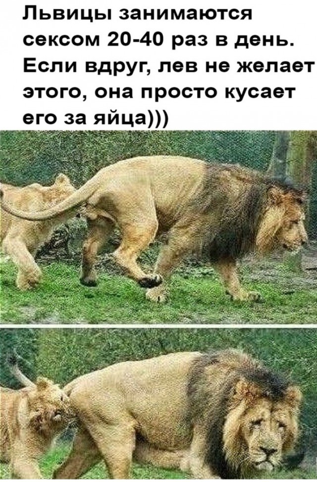 Так себе картинки 04.06.24