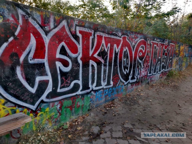 Могилу лидера «Сектора Газа» Юрия Хоя сожгли