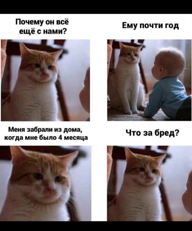 Завалялось тут случайно немного забавных картинок