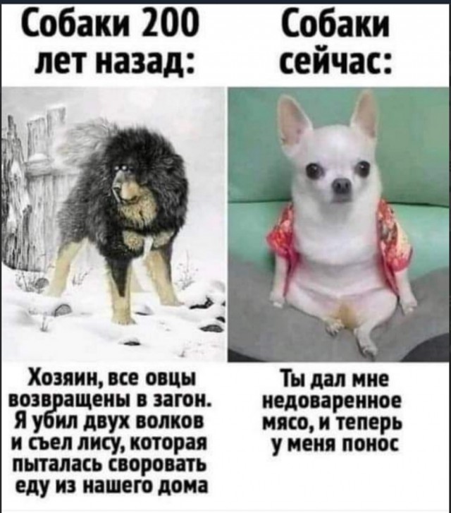Картинки разные с надписями и без