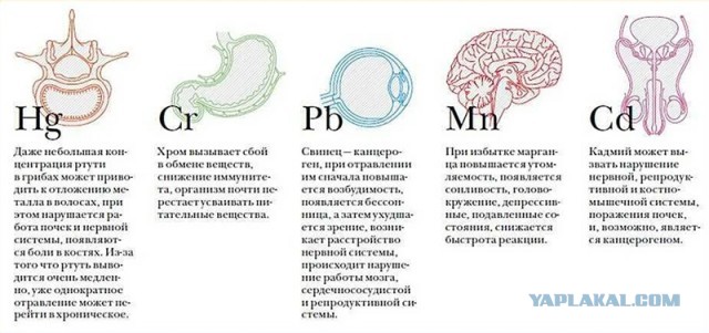 Карабаш – «уютнейшее» место на земле! (Часть 2)