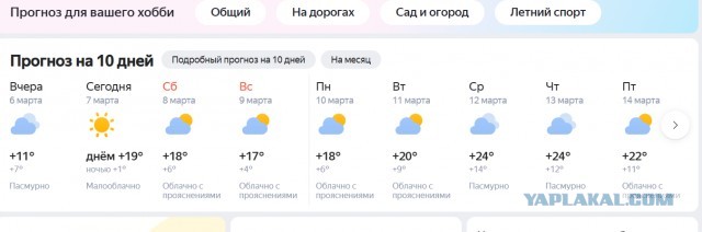 Вы будете завтра покупать цветы?