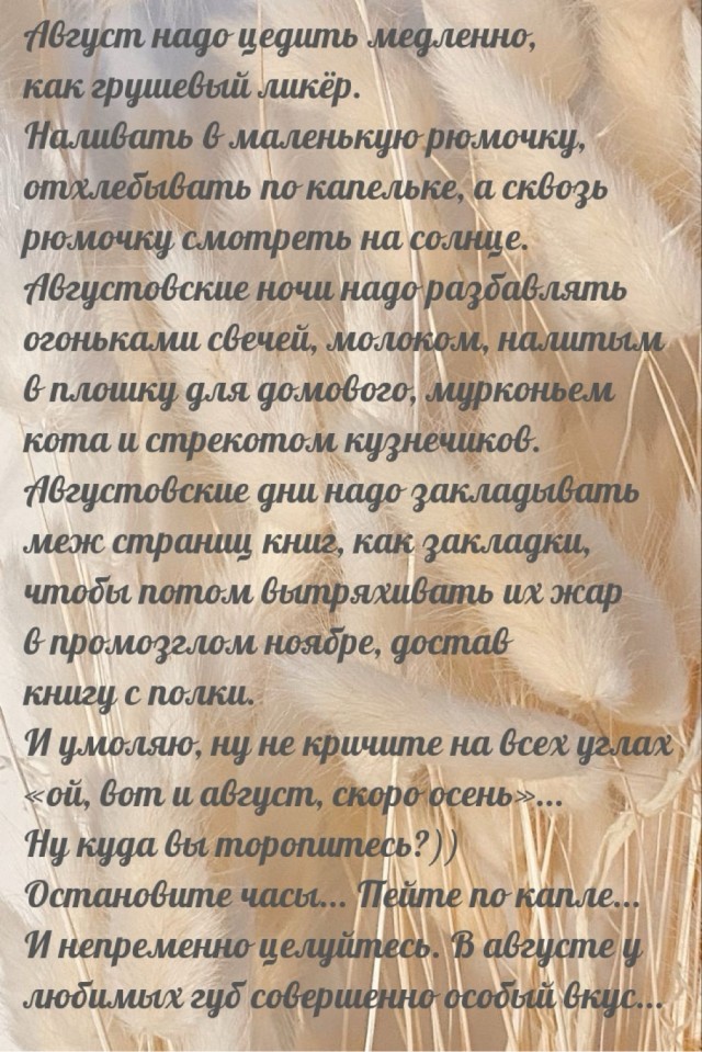 Так себе картинки 01.08.25