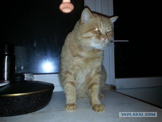 Ночной кошмар