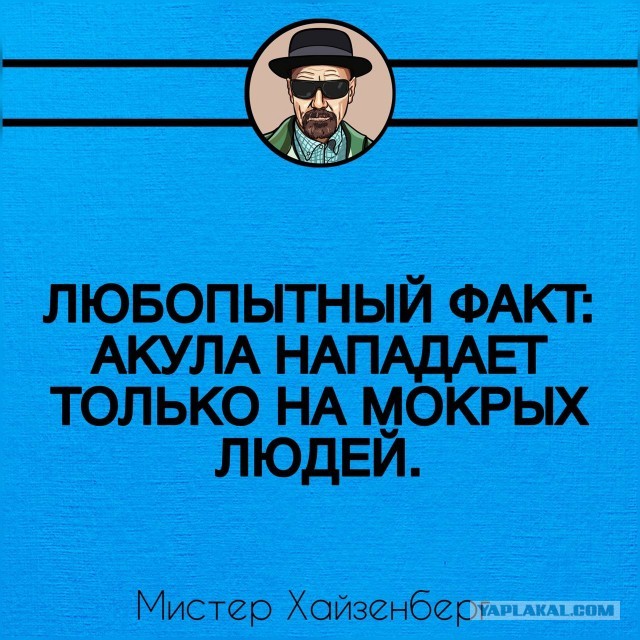 Весёлый полтишок 11.12.25