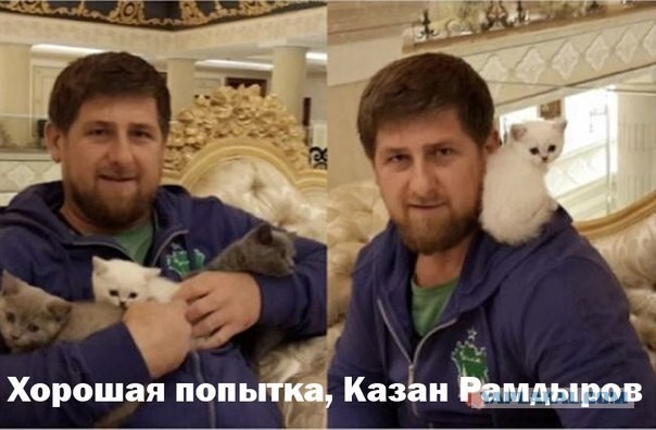 Можно к вам ЯПовцы