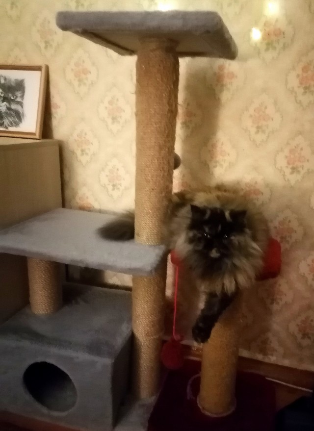 На дворе вторник.