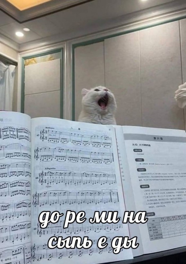 Забавные картинки, шутки из этих ваших интернетов