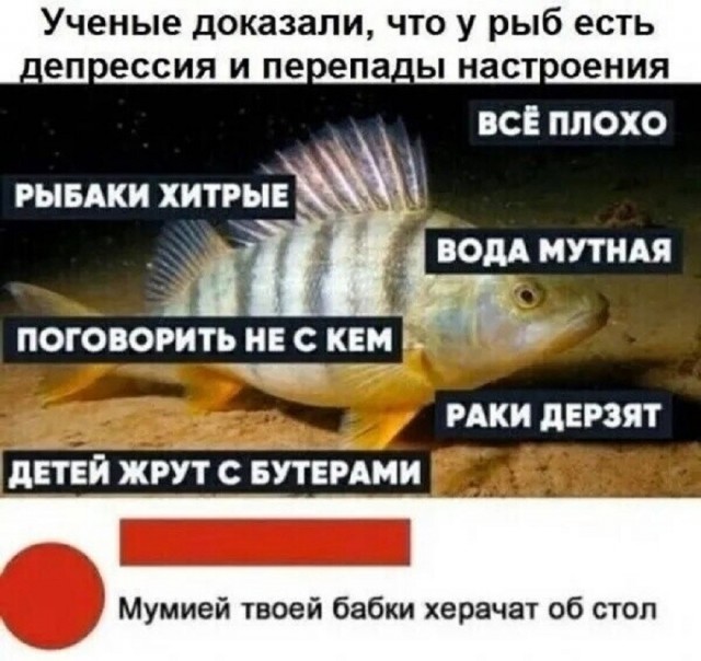 Так себе картинки 01.07.26