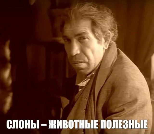 Слон‑маньяк 14 лет преследовал непальскую семью и убил четверых её членов