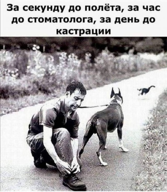 Картинки для деградации 242 (разной степени свежести)