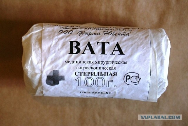 Семья из Новосибирска попыталась полгода прожить