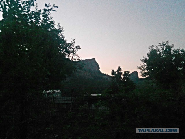 Последнее фото с Вашего телефона.