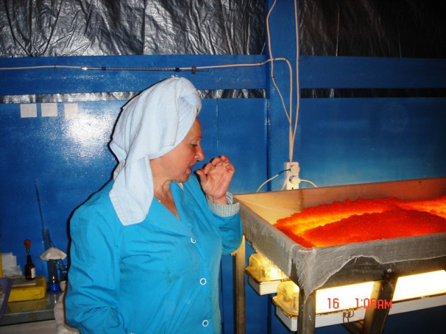 Путина 2005, Камчатка