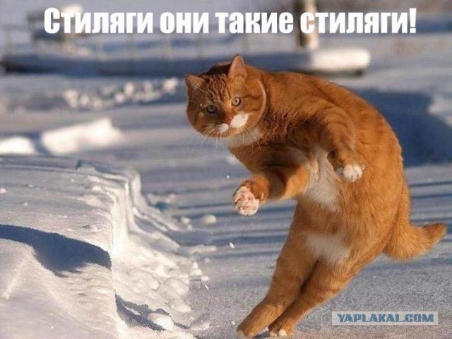 Немного позитива