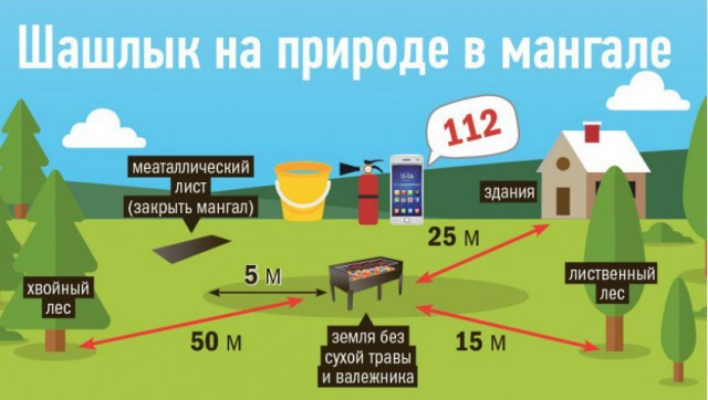 Липчане поплатятся за шашлык во дворе