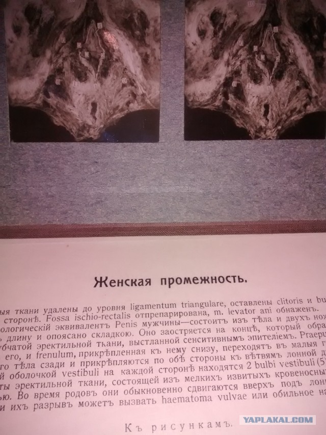 Хлам, да не совсем: 8 старых вещей, которые сегодня стоят баснословных денег