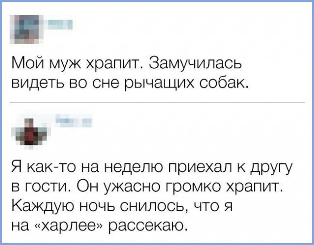 20 твитов от людей, у которых накопились вопросы к этой странной жизни