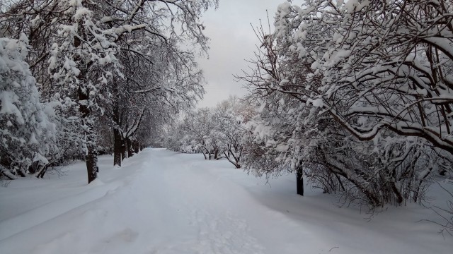 Снежный ад в Москве - большой фотоотчет