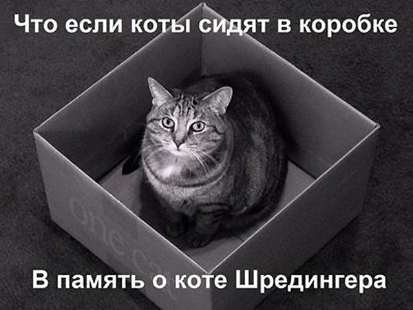 Умные мысли - 13