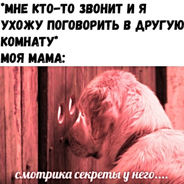 Картинки с надписями, истории и анекдоты 01.10.19
