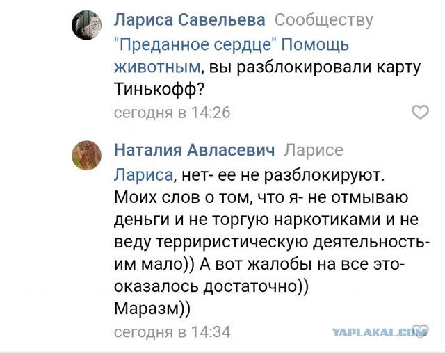 Помогите вернуть кота! Приют "Преданное сердце" украл кота и не отдает!
