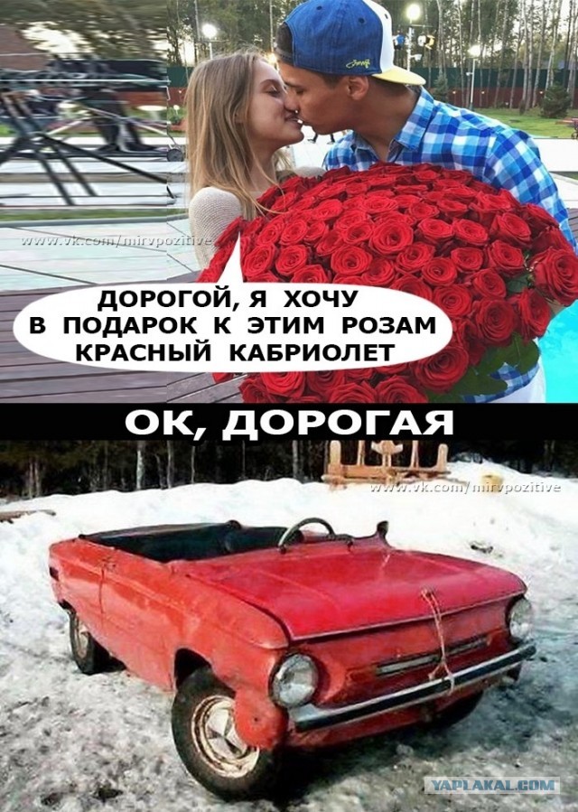 Картинки с надписями, истории и анекдоты 02.11.19