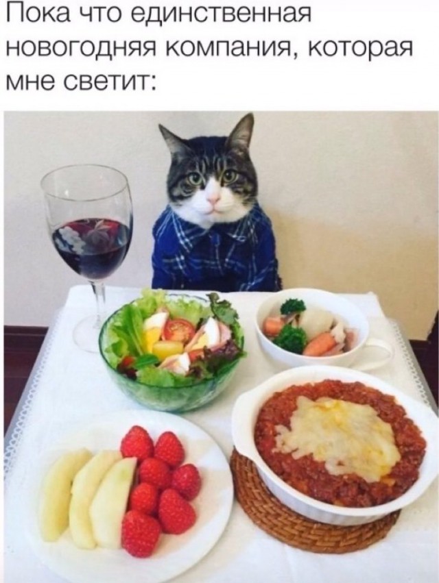 Немного картинок для настроения 06.12.19