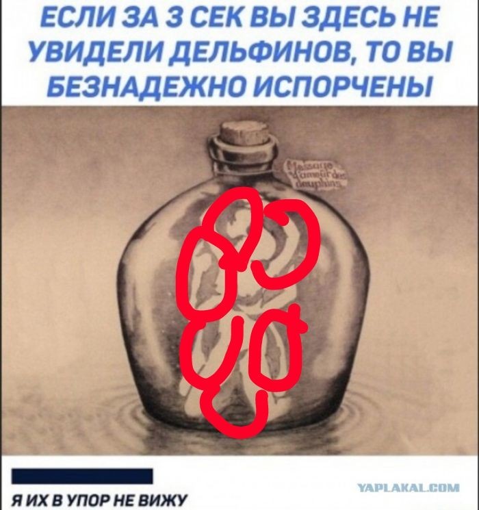 Бредзона 25.01.20