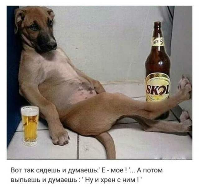 Немного картинок для настроения 13.05.20
