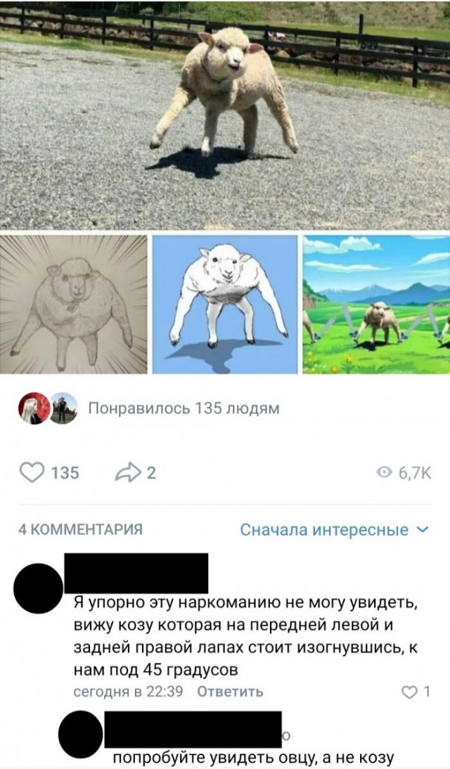 Юмор из соцсетей 13.07.2020