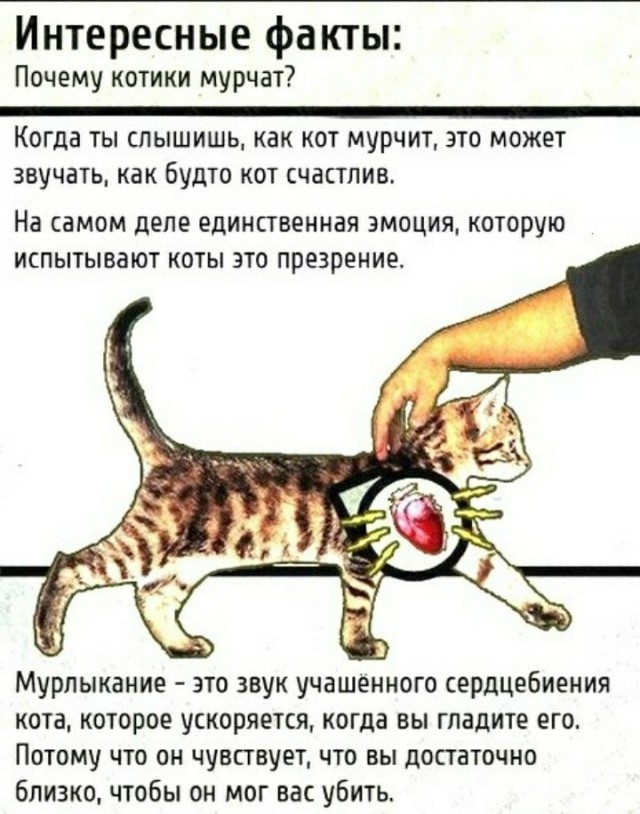 Юмор в картинках 30.08.20