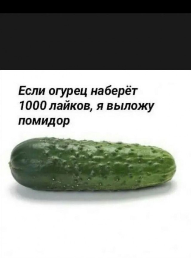 Юмор в картинках 22.11.2020