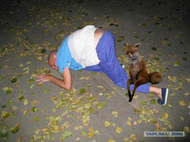 Таксидермия + наркомания