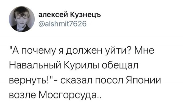 На суд по делу Алексея Навального пришли дипломаты почти двух десятков стран