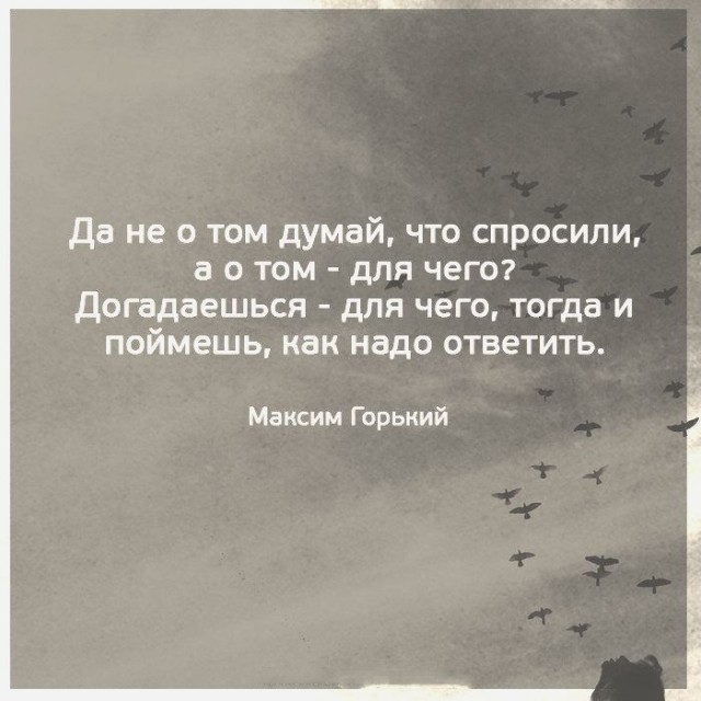 Подборка картинок 03.02.2021
