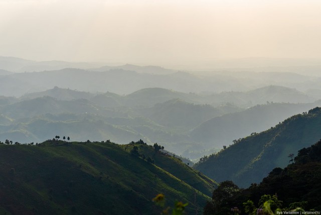 Уганда: самая настоящая Африка с гориллами и носорогами!