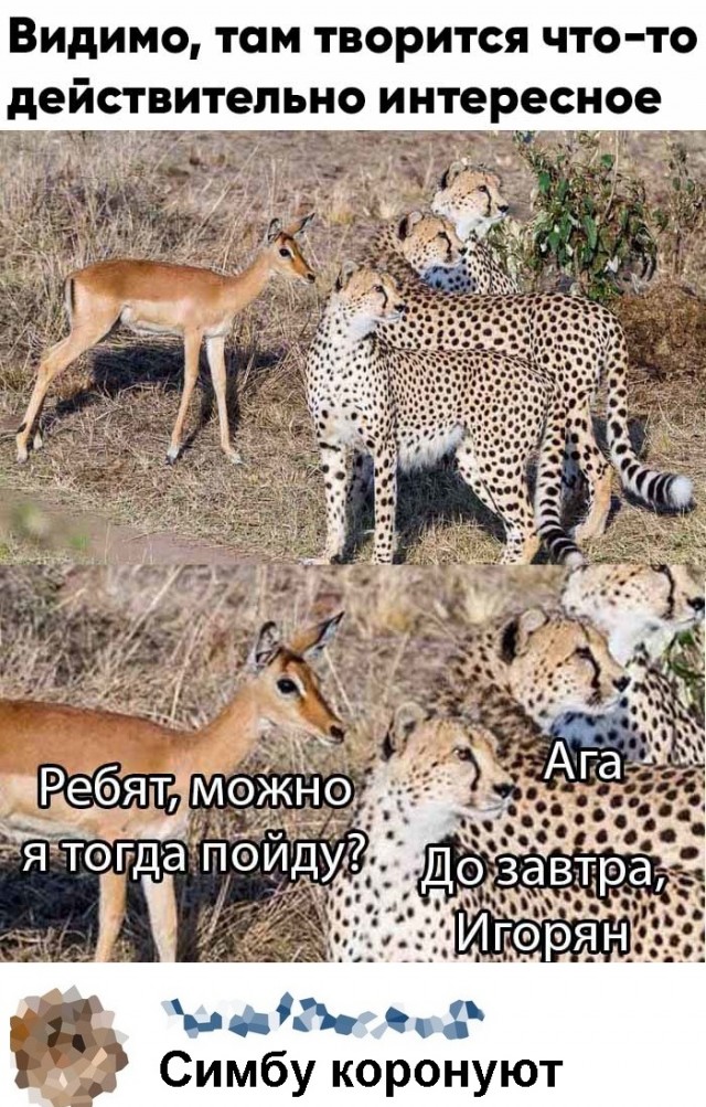 Опять 25, но не 25