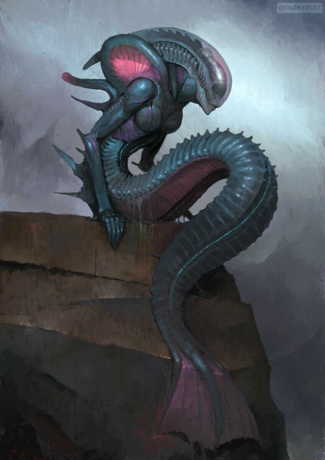 Crazy Art "МультиМедиа"
