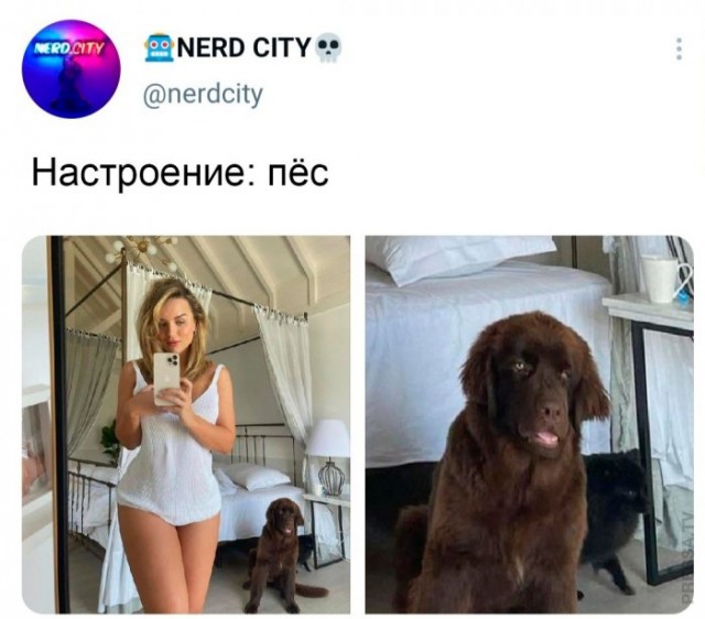 Картинки и мемы для настроения 016