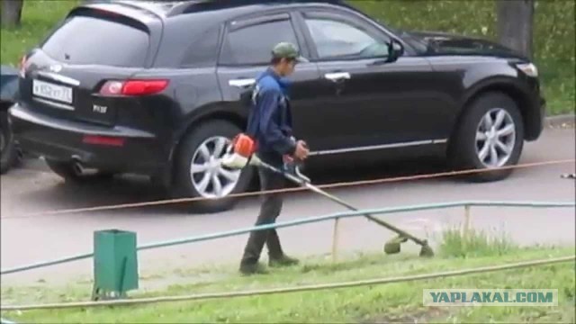 Смиритесь: после жалоб туристов на крики петухов чиновники испанской деревни развесили плакаты, призывающие смириться или уехать