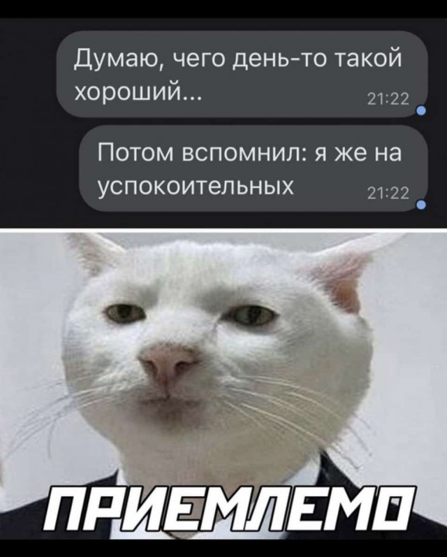 Баянисто-небаянистый юмор 13.01.22