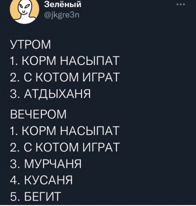 Картинки и мемы для настроения  - 25