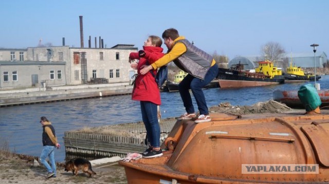 А у меня внуку семь лет