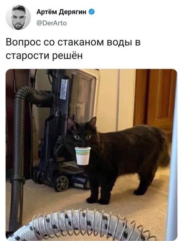 Забавные комментарии из социальных сетей (15.08.22)