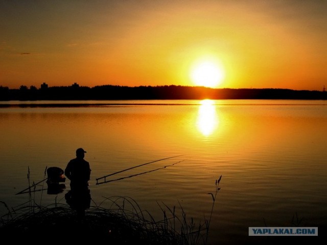Я просто люблю Беларусь :)