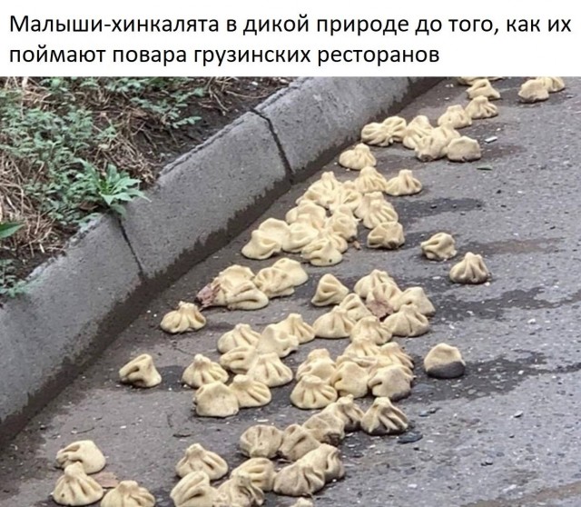 Немного мемчиков. Для взрослых. Часть 14